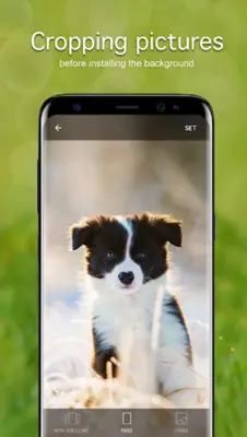 Puppy Wallpapers 4K android App screenshot 2