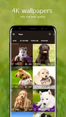 Puppy Wallpapers 4K android App screenshot 4